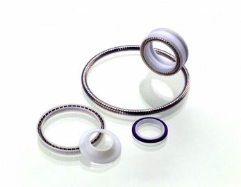 PTFE 물개, 봄은 테플론 물개, 테플론 회전하는 물개, PTFE 정체되는 물개를 격려했습니다